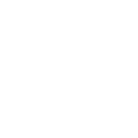 mentor